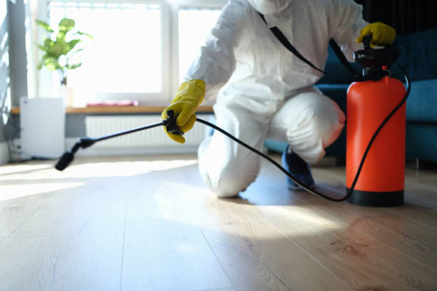 Reliable Odor Removal contractor in Leesburg, FL by Trauma Clean Pros